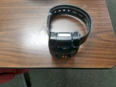 hundreds-of-georgia-sex-offenders-off-ankle-monitors-as-lawmakers-seek-legal-fix